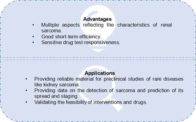 Summary of 3D ex vivo kidney models.